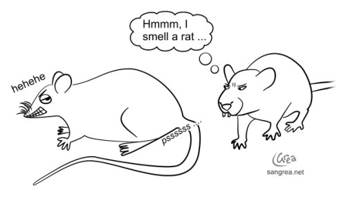 smell-a-rat.jpg
